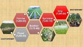 Different Methods Irrigation system | Tradition to Modern Watering System