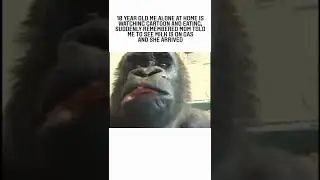 😂😂😂