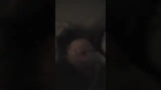 trying to cover a month from now by rail yard ghosts with cpap machine and falling asleep adhd