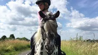 Maja und Dotty - Shettyreiter Lernen reiten