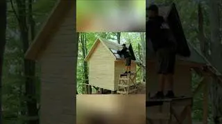 River side mini house vlog shorts video #&ldquo;Peaceful Nature Vlog 🌿  Shorts&rdquo;