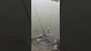aaja hami aata tira xam frind pokhara lakeside fishing time