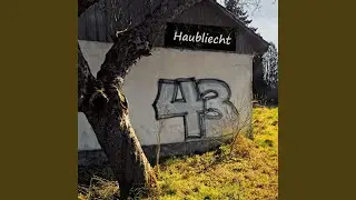 43gi