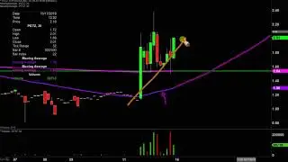 TDH Holdings, Inc. - PETZ Stock Chart Technical Analysis for 10-15-2019
