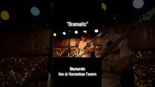 🎥 by Ryan Brough (@zeebrahmedia6979 ) #indie #bassguitar #drums #guitars #singing #livemusic