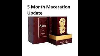 5 Month Maceration Update on Ansaam Gold EDP by Lattafa | Fragrances #142