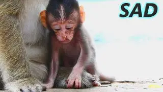 [DEEPLY SAD AND SORROWFUL] WHAT'S WRONG, WHY TINY BABY BRIYA SITTING NEAR HIS MUM BUT FEELING SO SAD