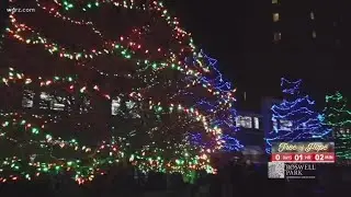 Tree of Hope: Transforming Kaminski Park into a winter wonderland
