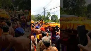അയ്യപ്പന്റെ തിരുവാഭരണ ഘോഷയാത്ര റാന്നി-പെരുന്നാട് എത്തിയപ്പോൾ #shorts #ayyappan #ayyappa#ayyappaswamy