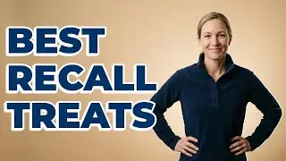 What Are High-Value Treats For Dog Recall?