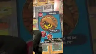 Lechonkamania Mystery Exchange Package 1 Clip 7 #pokemon #pokemoncards