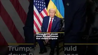 Трамп: страны НАТО должны сбивать российские самолёты, нарушающие воздушное пространство