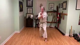 Seiunchin kata in Detail - Final section