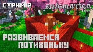 Enigmatica 6  1.16.5 Новый Стримзон 2  #minecraft #modpack #curseforge