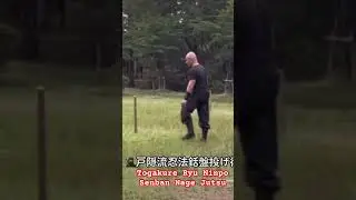 NinjutsuKyoto 🇯🇵 Togakure Ryu Ninpo Senban Nage Jutsu #ninjutsu #togakureryuninpo #bujinkan