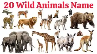 20 जंगली जानवरों के नाम 🦁🐯 | 20 Wild Animals Name in English and Hindi | Kids Learning Video