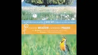 Nature's Creations Collection: Peaceful Meadow - Tom Hambleton