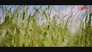 Coveris | Unterland Agricultural Films | The countdown to crop season 2019 (DE)