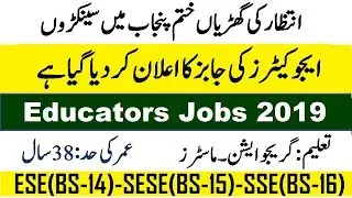 Educator Jobs 2019 In Punjab | PPSC Educators Jobs Advertisement | Apply Online