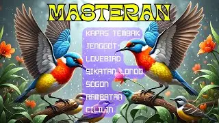 RAHASIA JUARA | Terapi Suara Jernih MASTERAN UNTUK SEMUA JENIS BURUNG KICAU