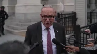 Chuck Schumer: The president is calling for 'the execution of elected officials'