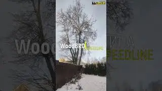 Липа speedline WoodBRO