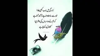 Heart touching quotes| Urdu Islamic Qoutes | Best Quotes About Life | Nusrat quotes #quotes #islamic