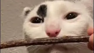 200 subscribers