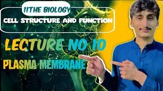 Lecture No 10 PLASMA MEMBERANE