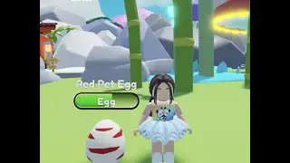 Playing Ropets Roblox with fans