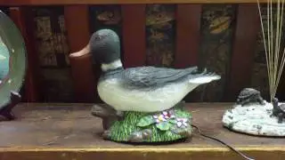 Singing Gemmy Duck
