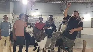 Recording Breaking Tyaari Khassi Results At ARMF Mahapoli | Rehman Mistry Sahab Ki Mehnat Mashallah.