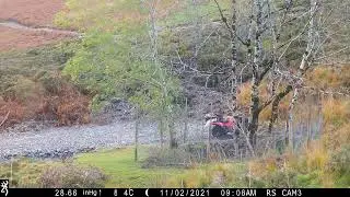 Dumped Birds - Dyfi Falls