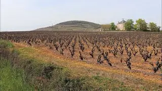 Saint Lager - Le Mont Brouilly - Rh&ocirc;ne