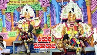 Ambhamata kichaka 002