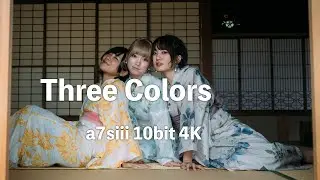 Three Colors (Portrait Movie : SONY a7s3 10bit 4K S-Log3 fottage)