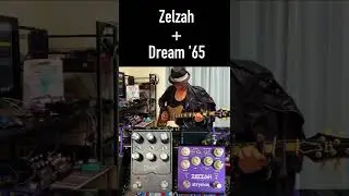 Universal Audio Dream '65 + Strymon Zelzah Guitar Riff #shorts