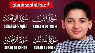The Most Wonderful Recitations | تلاوة عجيبة تريح القلوب والعقول - سورة يس الرحمن الواقعة الملك يس