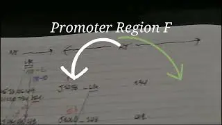 Lotto data of P.K.C. and K.C. to figure out Japan lotto 6 Mon 12.1.2026 #study #howtosolve #lotto