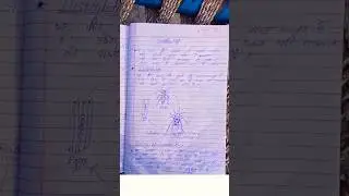 Biology ofGandhi Bug 🐛🦗 [Official Gandhi Bug] Easy notes and Diagrams #bio #biology #neet #bsc