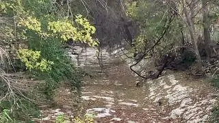 Cart tracks in the creek 