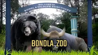 Explore Bondla Zoo, Goa 🦁 | Hidden Wildlife Gem 🌿 | Best Family Adventure #Goa #Zoo #TravelVlog