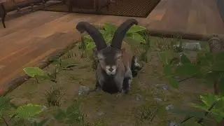 Back to Back Spanish Ibex Trophies on Cuatro Collinas! | The Hunter Call of The Wild