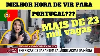 Urgente! Portugal precisa de pessoas para trabalhar !!! 😱🇵🇹