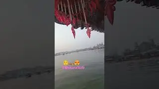 #DalLake#$hikaraRide#$rinagar