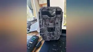Обзор премиальной охотничьей фотоловушки Alpha Cam 30MP 1080p H.264 30fps IP67 с водонепроницаемостью