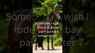 i do 😍❤️ #horse #equestrain #bayhorse #hunterjumper #painthorse #apha #besthorse