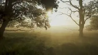 HarmonyMusic   Otjanbird Pt 2