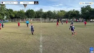 Copa Leones 🦁 Colegio Mochis 🆚 Instituto Andes Categoria 🐻 Fecha # 1