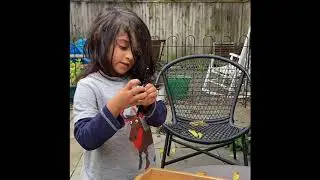 How to make a moth in 3 minutes